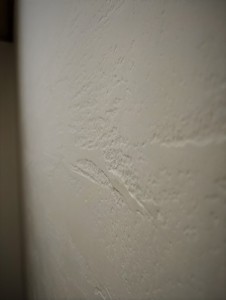 珪藻土塗り壁 (2)